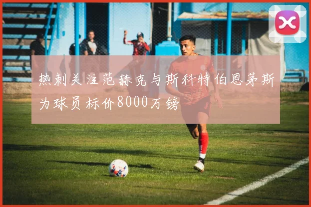 热刺关注范赫克与斯科特伯恩茅斯为球员标价8000万镑