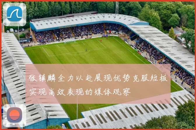 张镇麟全力以赴展现优势克服短板实现高效表现的媒体观察
