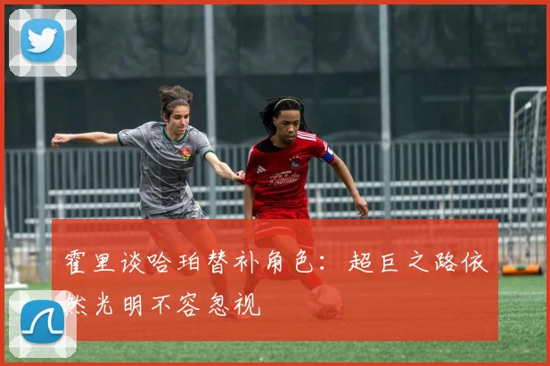 霍里谈哈珀替补角色：超巨之路依然光明不容忽视